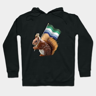 A Red Squirrel with a gay men's pride flag. Hoodie